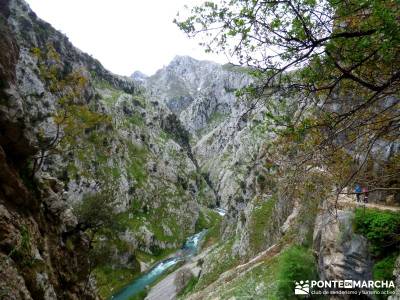 Ruta del Cares - Garganta Divina - Parque Nacional de los Picos de Europa;viajes aventura